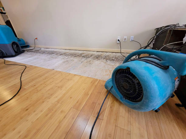 Professional Basement Flood Cleanup technician working in Jamul, CA
